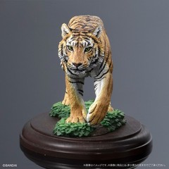 Wild Feline Figure Bandai Creature Encyclopedia Display Model Collection Ikimono