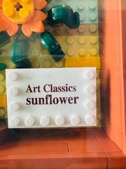 HOGOKIDS Sunflower Building Set with Lights 807PCS Painting Assembled No Box