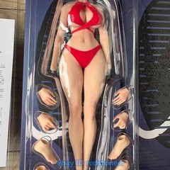 VERYCOOL Silicone Body Fit 1/6 Female Action Figure Model Collection 12”