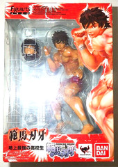 BANDAI S.H. Figuarts ZERO Baki Hanma Rare PVC Figure Collectible Baki Grappler