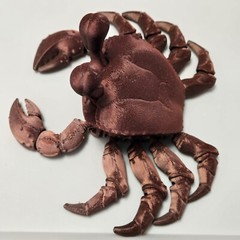 Ghost Crab Toy Articulated 3D Printed Handmade Novelty Varying Colors