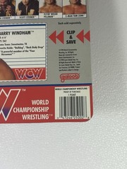 WCW Galoob MOC Barry Windham NM++ Titan Vintage WWF WWE LJN Hasbro