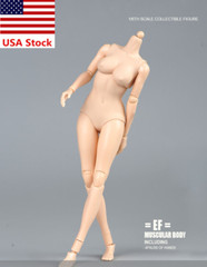 TQ0516 1/6 Female Pale Skin Large Bust For 12”Action Figure Body Doll Model