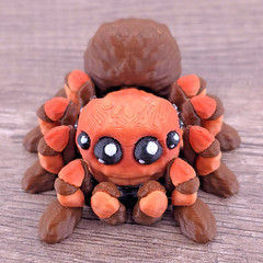 Mini Spider Desk Pet 3D Printed Articulated Flexi Fidget Choose Color
