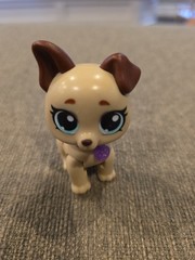 ZURU Surprise Pet Rescue Series Dog Puppy SPRINGER