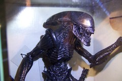 ALIEN VS PREDATOR: BLACK ALIEN XENOMORPH WARRIOR 9 inch DELUXE ACTION FIGURE NEW