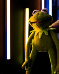 kermit the frog puppet / hand puppet