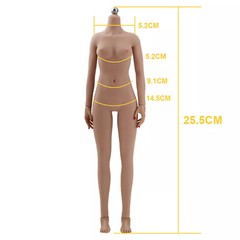 19B 1/6 Scale Seamless Small Bust Female Figure Body 12″ For Phicen Hot ToyZj