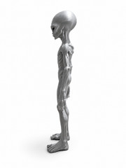 Alien Figurine 22cm Grey UFO Area 51 Collectible Gift Statue