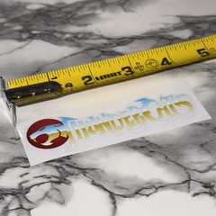 LJN Thundercats Decal Sticker 4” Vinyl Clear Background