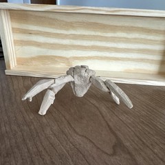 Project Hail Mary Rocky Action Figure 3D Printed Poseable PLA Collectible Statue