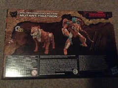 EMPTY BOX! All 4Transformers WFC-Kingdom Golden Disk Collection BOXES ONLY!