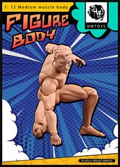 NwToys 1/12 Super Flexible Muscle Body Male Action Figure