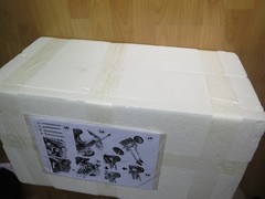 DRAGON 1/6th 5cm Pak 38 NEW #71390 UML Hobby Exclusive