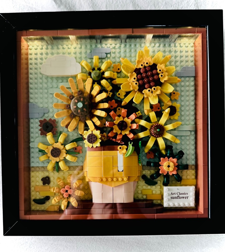 HOGOKIDS Sunflower Building Set with Lights 807PCS Painting Assembled No Box