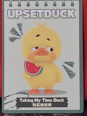 Upset duck Stop The Spiral Duck