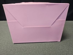 Tasting Girl 1:8 Scale Painted PVC ANIME Figure NEW W/BOX