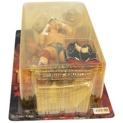 Terry Funk FIGURE PRO WRESTLING LEGEND With NWA Belt AJPW NJPW