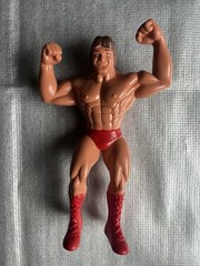 WWF WWE LJN WRESTLING SUPERSTARS LOT CASE 18 FIGURES & ACCESSORIES HULK HOGAN