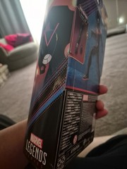Marvel Legends Future Ant-man BAF