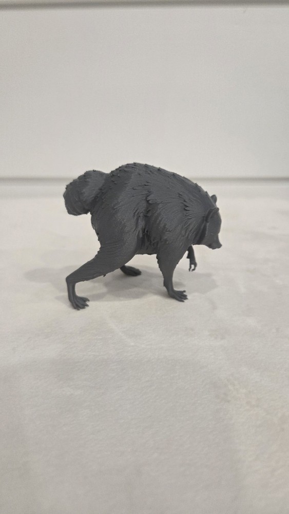 Jimothy the Raccoon Cryptid (3D Printed)