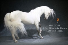 Mr.Z 1/6 Scale Animal Resin Simulation Toy Akhal-Teke Horse Figure 6 Color Model
