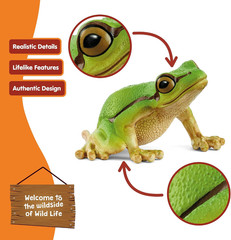 Schleich Wild Life – European Tree Frog Toy Figurine. Realistic Hand-Painted Ani