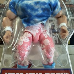 Mattel WWE Superstar Retro Jesse “The Body” Ventura Series 18 Action Figure