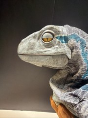 JURASSIC WORLD Baby Blue Dinosaur Animatronic Hand Puppet – Real FX Wow Stuff
