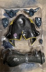 Plunderstrong Blacjak, Muscle Crate Black, Boom Crate Plunderlings Lone Coconut