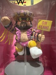 WWE X Garbage Pail Kids Figures Complete Set Andre Stone Cold Warrior Savage