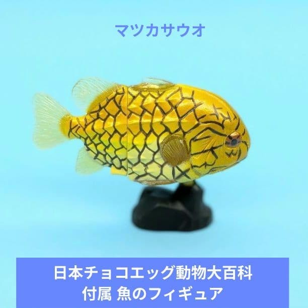 Kaiyodo Japanese Chocolate Egg Animal Encyclopedia Fish Figure Collectible Used