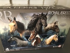 New Lanyard Royal Breeds, Family Champion, Chestnut Tobiano and Palomino Walker