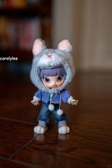 Authentic POP MART MOLLY ZOOTOPIA 2 Series 1/12 Action Figure Toy Gift HOT！