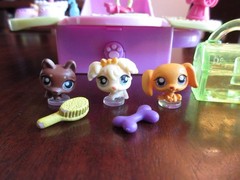 LITTLEST PET SHOP TEENIEST TINIEST PUPPIES DOGS POP OPEN MINI COMPACT PLAYSET