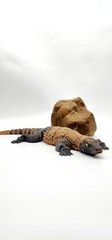 Articulated Komodo Dragon 3D Printed – 12” Reptile Toy Model – Realistic Eyes