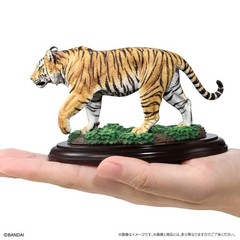 Wild Feline Figure Bandai Creature Encyclopedia Display Model Collection Ikimono