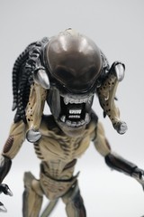 Herocross HMF #032 PREDALIEN ALIEN VS PREDATOR – 6″ Action Figure Displayed