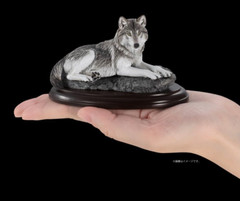 Wild Canine Animals Figure Bandai Creature Encyclopedia Display Model Collection