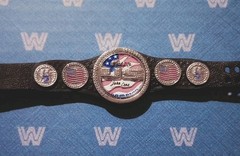 Mattel Elite WWE United States Spinner Championship Title Belt Shiny US Cena