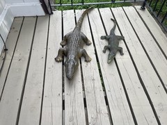1 Large Realistic Lifelike Foam Alligator 44″ And 1 Soft Rubber Alligator 26″