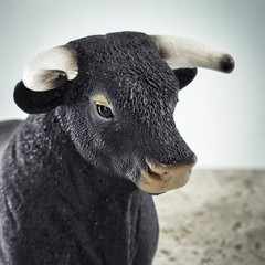 Schleich Black Bull Stepping Toy Figure Horned Farm Cattle Spanish Diorama 13875