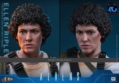 Pre-order Hot Toys MMS894 1/6 Aliens Ellen Ripley Collectible Action Figure