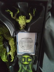 Mcfarlane Dc Multiverse Swampthing Megafig Glow In The Darrk