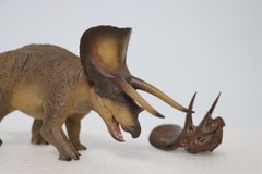 PNSO 1/35 New Version Triceratops Model Adult Children Toys Gift Dinosaur Figure