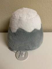 KAWS HOLIDAY JAPAN 2019 Mount Fuji Gray Plush AUTHENTIC W/ Box LIMITED EDITON
