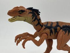 Jurassic World 3.75 Rebirth Orange VELOCIRAPTOR Dinosaur action figure LOOSE