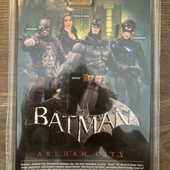 DC Collectibles Batman Arkham City Series 4 Talia Al Ghul Action Figure NIB 2013