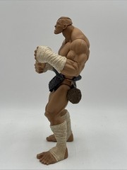 Sota Toys Street Fighter SAGAT Action Figure CAPCOM 2005 Missing Shorts Loose