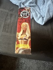 JAKKS Pacific WWE Melina & Ashley Figure Set w/ Championship Belt & Chair (RARE)